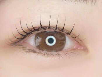 イムアバイコル(imua by cor)/カールデザイン