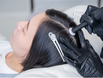 パピヨンヘアー(Papillon hair)
