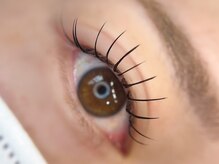 ラウ(Lau)/フラットラッシュ140本