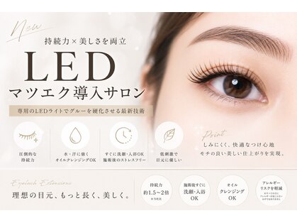 ボンテ(bonte)の写真