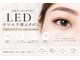 ボンテ(bonte)の写真