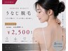 レディース★うなじ脱毛 ¥3,300→¥2,500
