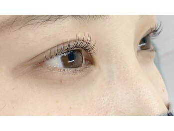 ヴィフ(Vif)/パリジェンヌラッシュリフト