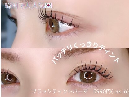 ポノピピ(ponopipi)の写真