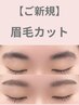 【レディース】骨格分析付き♪眉毛カット+眉メイク仕上げ+描き方レクチャー
