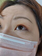 ルピナス(Lupinus)/ボリュームラッシュ500本下30本