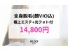 【レディース脱毛】全身脱毛(顔VIO込)+毛穴洗浄+イオン導入+光フォト¥14800