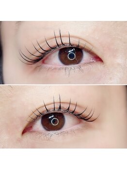 アイビー(Ivy)/まつ毛パーマ