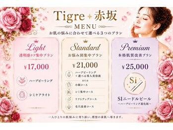 ティーグレ 赤坂(Tigre)/料金表