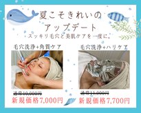 アメリテ(Amelite)