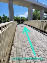 アンドピースセラピー(& P's Therapy)/9