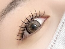 シエナ(ciena)/《フラットラッシュ 140本》