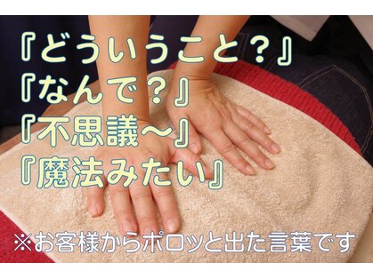 せんじゅの写真