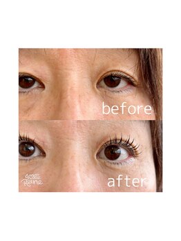 ジョリレーヌ(Jolie Reine)/