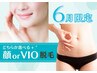 【6月限定】大人気の顔orVIO脱毛¥3900☆お好きな方をお選びいただけます◎