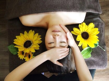 タイチ(Taichi)の写真