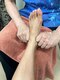 ナミオト(nami oto)の写真/【足つぼ】身体がだるい…なんとなく不調が続いている…足裏をほぐしてそんなからだのお悩みを改善♪