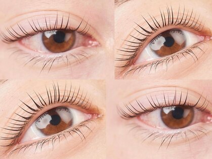 ポロカ(POLOKA)の写真