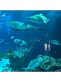 癒し~ぷ 熊本店 水族館好きで…年1回以上行きます!!