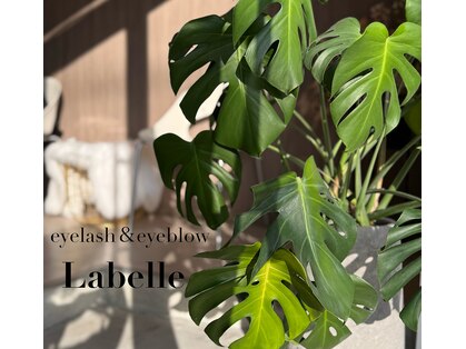 ラベール(La belle)の写真