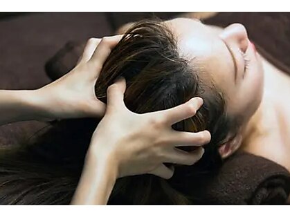 ドウズ(Doze)の写真