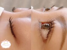 ミルキーアイラッシュ(Milky)/まつ毛パーマ