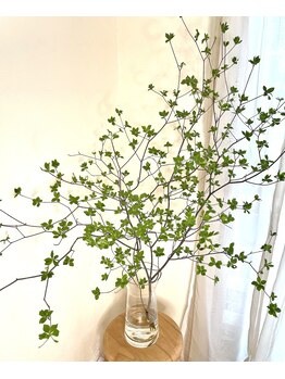 リアン ラッシュリフト(Lien LASHLIFT)/灯台躑躅はやっぱりステキ♪