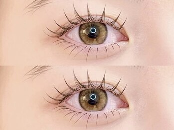 リシェリ(Richer)/上下フラットラッシュ