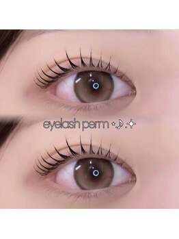 アイモア 一宮店(eye mor.)/立ち上げカール