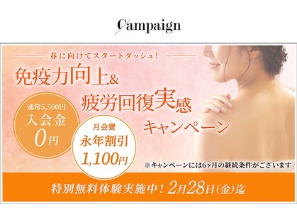 ビーナノミスト(be nano-mist)の写真