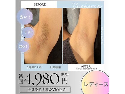 ユシェリア(Yucheria)の写真