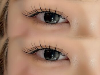 シピ ラメゾン 柏(Chipie La Maison)/パリエク 120本