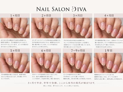 ディーバ 立川店(Diva)の写真