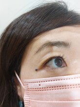 ルピナス(Lupinus)/フラットラッシュ140本