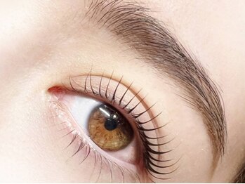 アップフォースリフト(UPforceLift)の写真/【大分駅前】大人気SET★アイブロウwax初回¥4400/UPforceLift&Brow(まつげパーマ+眉毛)初回¥9000◎