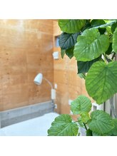 鍼灸治療院 ファイン(5N')/