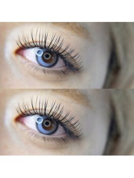 エクステの種類が豊富