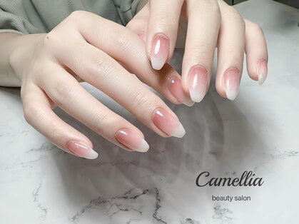 カメリア(Camellia)の写真