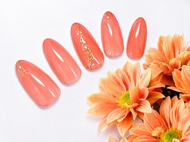 ７月定額シンプル