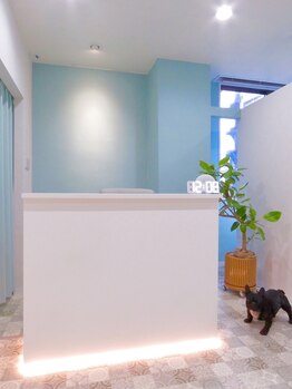 レイール(Reir)/受付