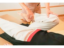 ルピナス(Lupinus)/施術の様子