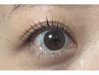 シャンティ 琴似店(Shanti)/★ラッシュリフト★