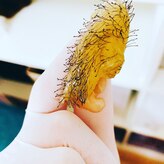 ブラジリアンワックス脱毛サロン ベリーベリー(very! very!)