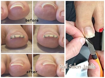 ジャミーラ(Jamila)