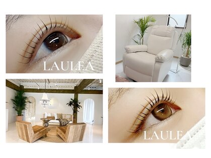 ラウレア(LAULEA)の写真