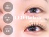 【最先端/持続力抜群！】LEDフラットラッシュ《120本》 ¥7700