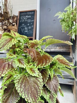 わたなべ整体院/