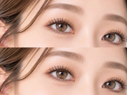 グレース(grace)の写真