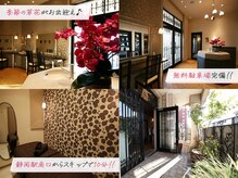エステティックガーデン小町ストーリー