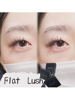 エル(elu.)/フラットラッシュ付け放題